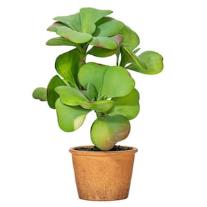 14 in Green Artificial Succulent in Paper Pot