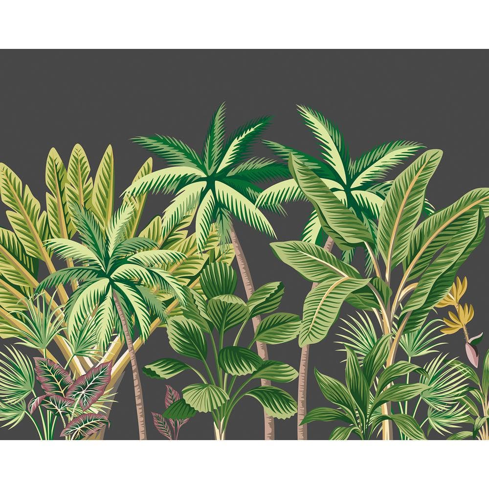 Grey Tropical Palm Trees Wall Mural with Green Leaves