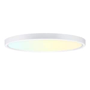 24 in. Round White Integrated LED Flush Mount Light Super Narrow Frame Slim LED Flush Mount Light with 5CCT Selectable