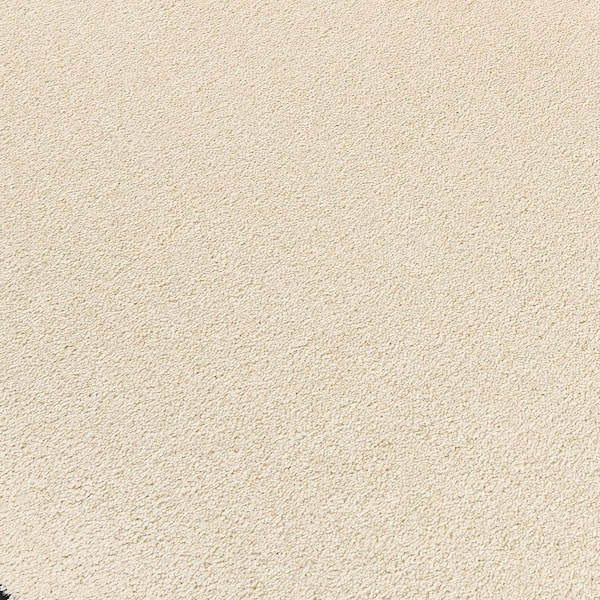 Mohawk Home & Office Sophisticated Look 30 Ancient Sword Textured Carpet Sample (Interior) Mohawk Home & Office Sophisticated Look 30 Ancient Sword Textured Carpet Sample (Interior)