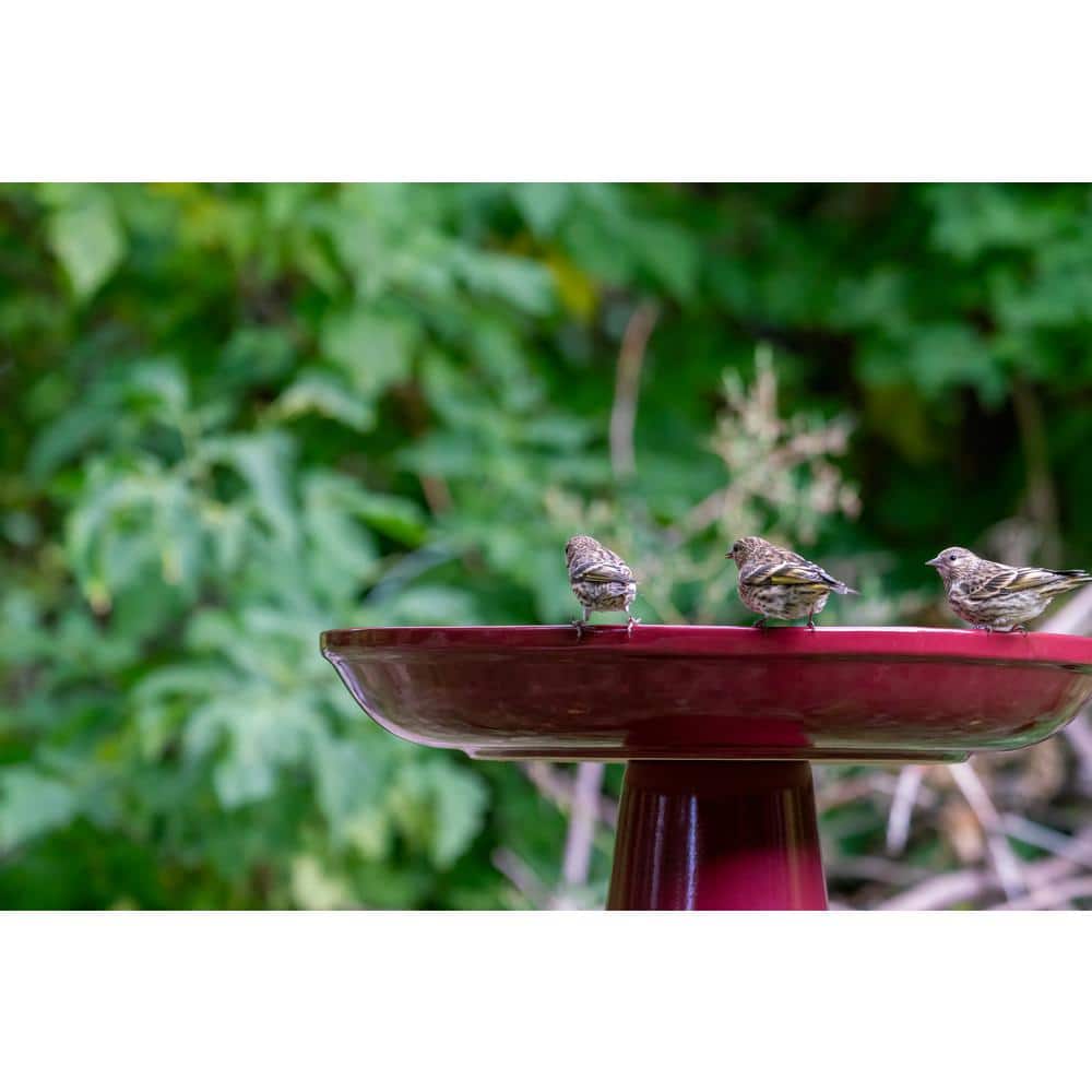 Burgundy Ceramic Clay Pedestal Bird Bath, 22"H x 17"D