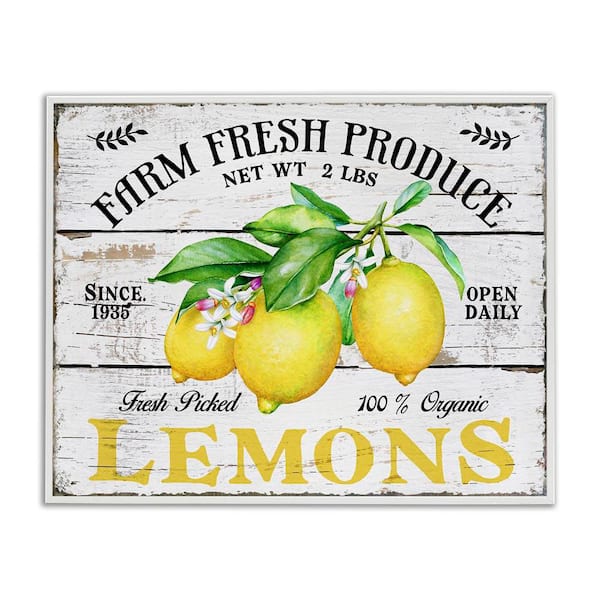 Stupell Industries Farm Fresh Produce Lemons by Creatif Belle White Framed Food Giclee Art Print 24 in. x 30 in.