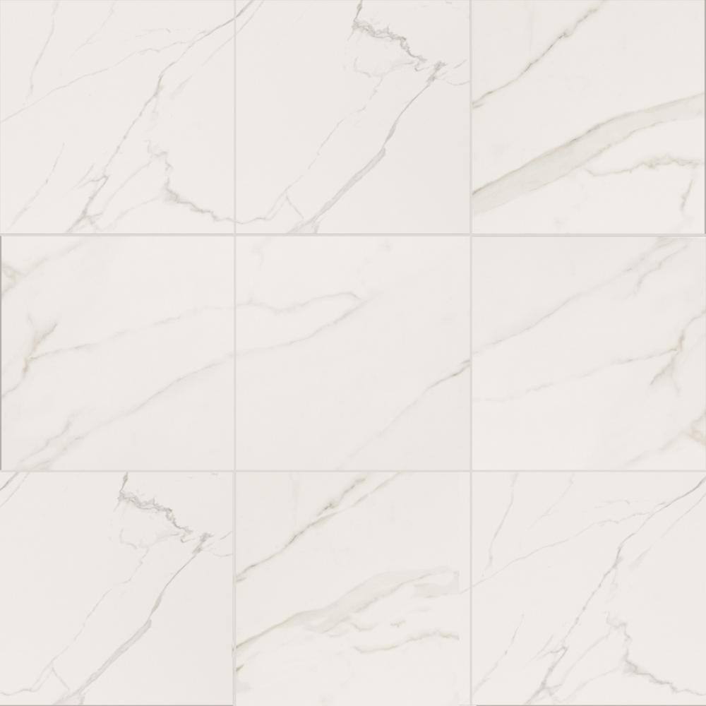 Leonardo Venato 24 in. x 24 in. Matte Porcelain Marble Look Floor and Wall Tile (480 sq. ft./Pallet) price history on PriceWatchPro