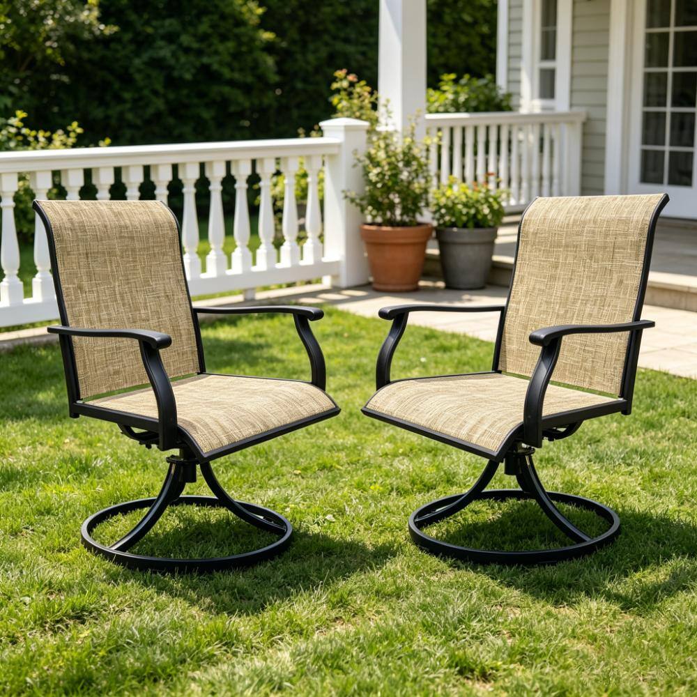Set of 2 Outdoor 360° Swivel Metal Dining Chairs, 250 LBS Weight Capacity, for Front Porch Backyard Deck price history on PriceWatchPro