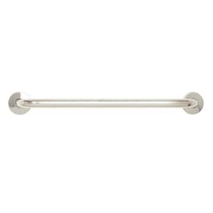 24 in. x 1-1/4 in. Dia Stainless Steel Wall Mount ADA Compliant Bathroom Shower Grab Bar in Polished