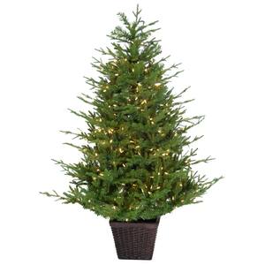 4 ft. Pre-Lit Andirondack Potted Christmas Tree with Warm White LED Lights