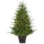 https://images.thdstatic.com/productImages/2962abd3-fb77-4101-baf2-f79278acd205/svn/fraser-hill-farm-pre-lit-christmas-trees-ffad048p-5gr-64_65.jpg