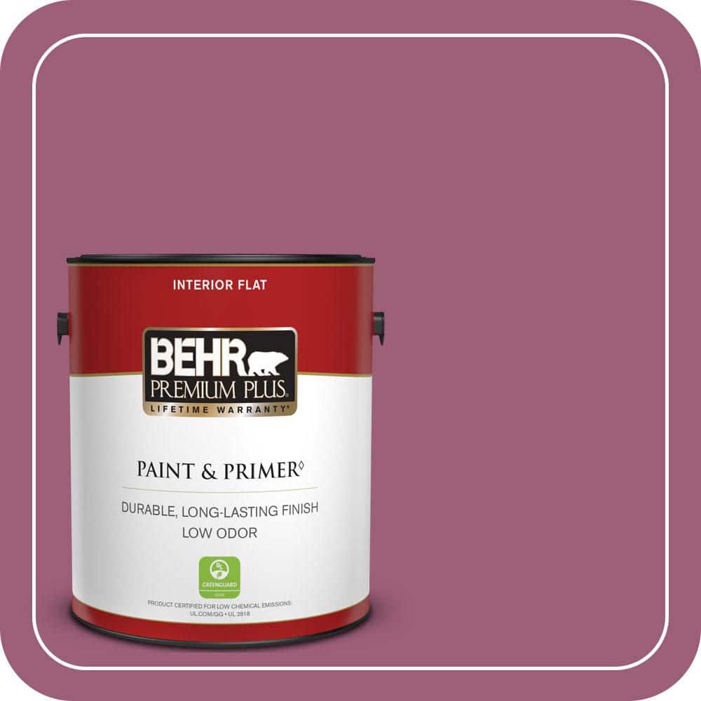 1 gal. Home Decorators Collection #HDC-WR15-2 Passion Plum Flat Low Odor Interior Paint & Primer price history on PriceWatchPro