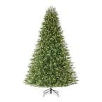 Home Accents Holiday 7.5 ft Tahoe Black Spruce Pre-Lit LED Artificial ...