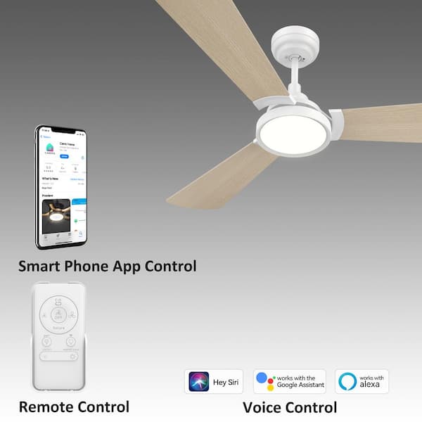 Ceiling fan store google home control