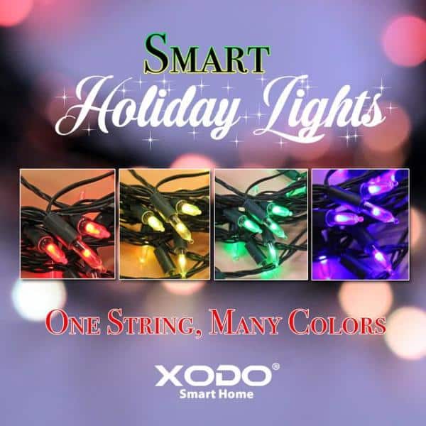 Xodo Smart Christmas Lights Outdoor/Indoor 35 ft. Plug-In Globe Bulb LED String  Light Compatible with Alexa/Google Assistant DL1 - The Home Depot