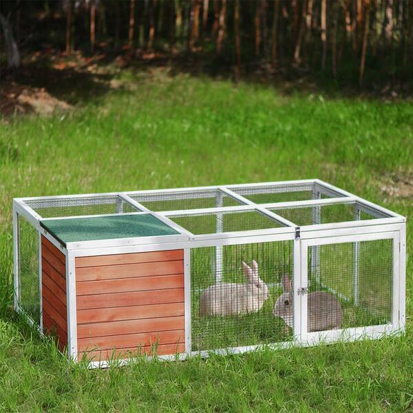 chicken playpen