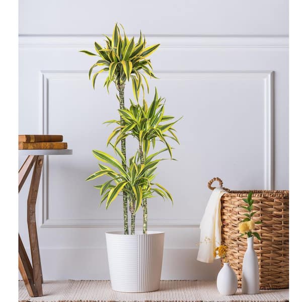 ARIKHA、Kichen-boardEggplant and Lemon Xzkai Black Wood 53 in. Kitchen Island with Drop Leaf, 5