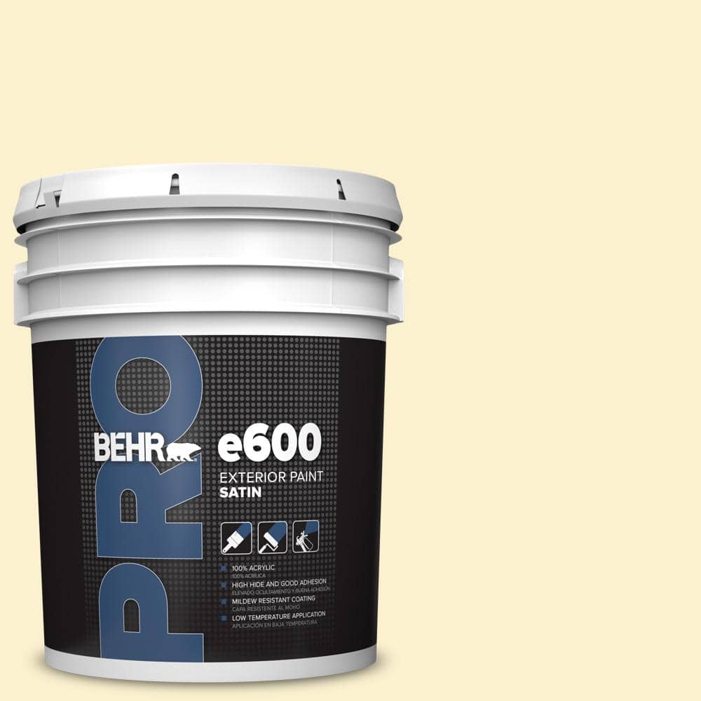 5 gal. #380C-2 Desert Lily Satin Exterior Paint price history on PriceWatchPro