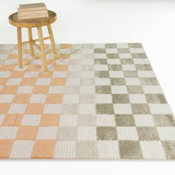 Dominick Cream 5 ft. x 7 ft. Boho Checkered Area Rug