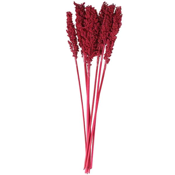 Litton Lane 30 in. Corn Maze Natural Foliage with Long Stems (1 Bundle)