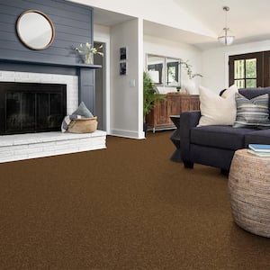 Alpine - Harmony - Brown 17.3 oz. Polyester Texture Installed Carpet