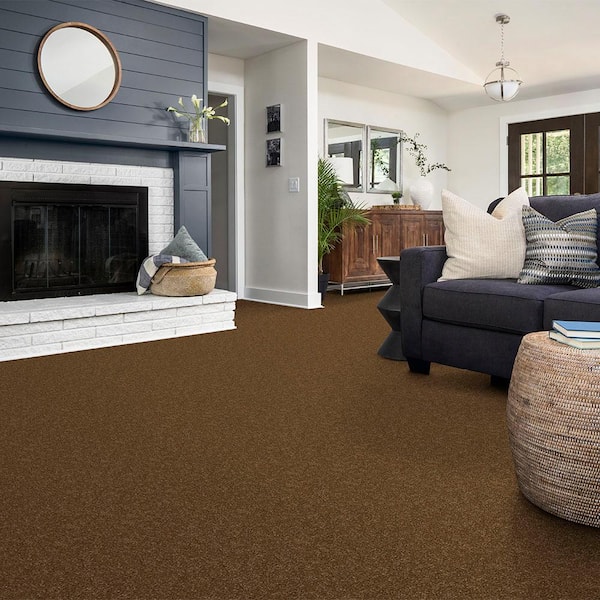 Alpine - Harmony - Brown 15 ft. 17.3 oz. Polyester Texture Installed Carpet