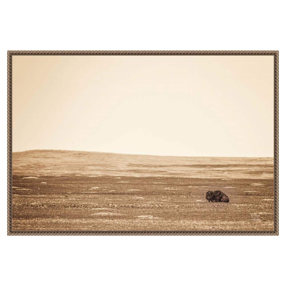 33" x 23" Sepia Bison Landscape Framed Canvas Wall Art