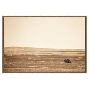 "Badlands Bison Sepia" by Nathan Larson 1-Piece Floater Frame Giclee Nature Canvas Art Print 23 in. x 33 in.