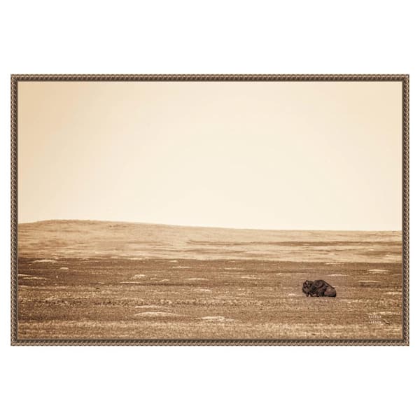 Amanti Art "Badlands Bison Sepia" by Nathan Larson 1-Piece Floater Frame Giclee Nature Canvas Art Print 23 in. x 33 in.