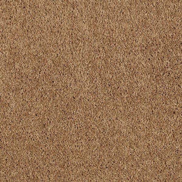 Lifeproof Ambrosina I  - Winter Leaf - Brown 30 oz. Triexta Texture Installed Carpet