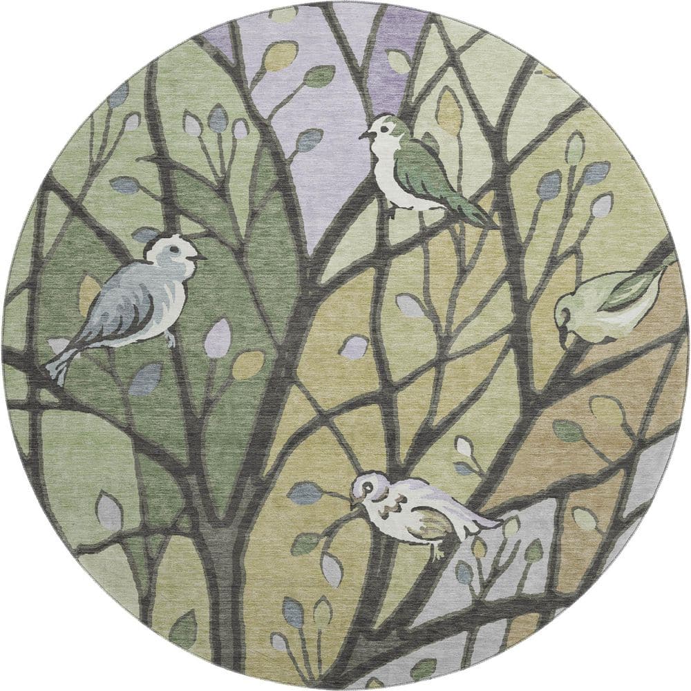 Mayfield Premium Machine Washable Abstract AMF2336 Aloe 8 ft. x 8 ft. Round Rug price history on PriceWatchPro
