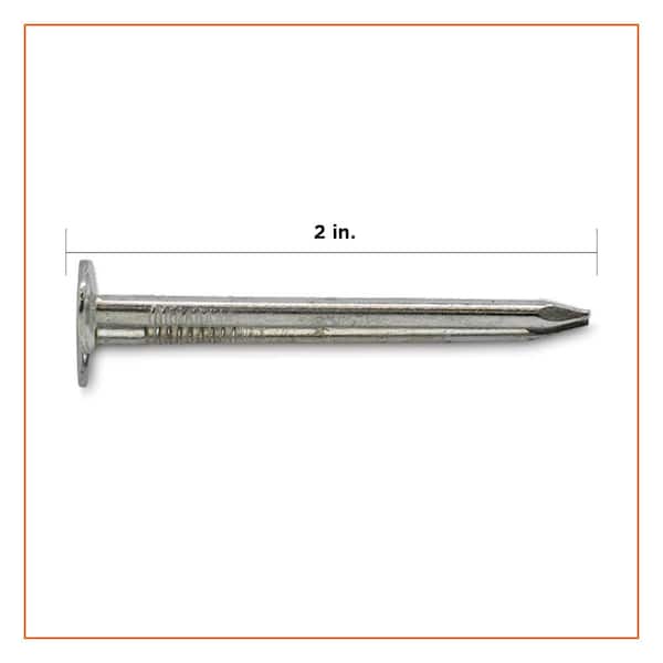 Update more than 164 electro galvanized nails exterior best