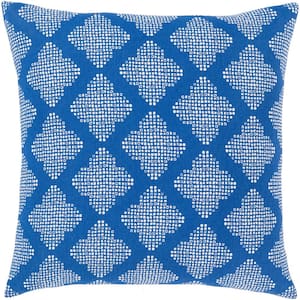 Abbacchio 18 in. x 18 in. Blue Graphic Down Standard Throw Pillow