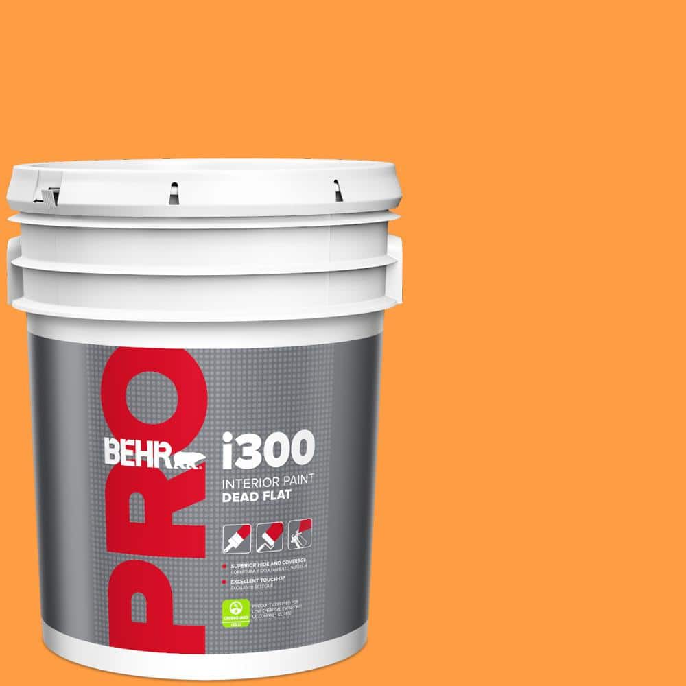 5 gal. #P240-6 Exotic Blossom Dead Flat Interior Paint price history on PriceWatchPro