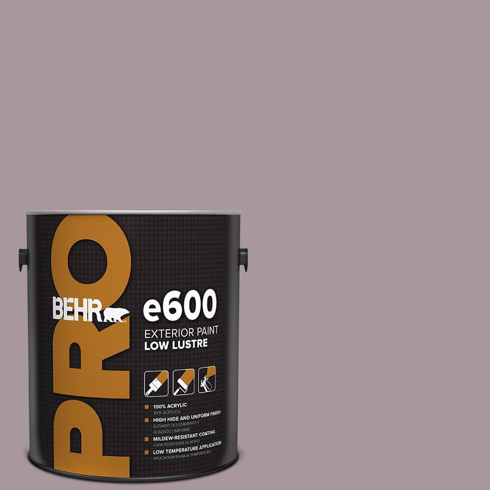 1 gal. #N110-3 Fig Preserves Low Luster Exterior Paint price history on PriceWatchPro