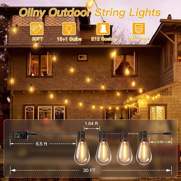 16 Light 30 ft. Black Indoor/Outdoor Remote Dimmable 3-Mode Timers