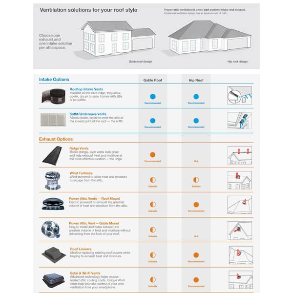 10 Steps On How To Rodent Proof Your Attic - Master Attic