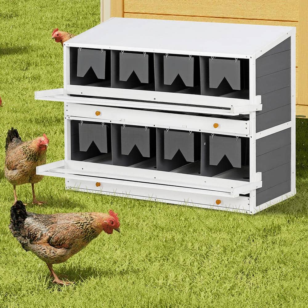 White and Gray Wooden Chicken Nesting Box with PVC Roof, 8 Compartments