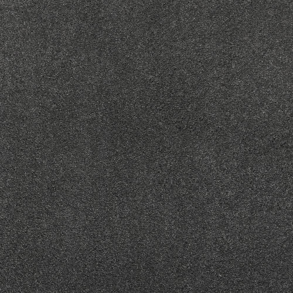 8 in. x 8 in. Texture Carpet Sample - Plush Dreams II -Color Soothing price history on PriceWatchPro