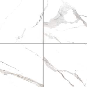 Ader Tegal 24 in. x 24 in. Polished Porcelain Floor and Wall Tile (16 sq. ft./Case)