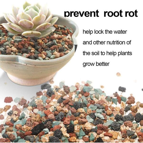thumbnail image 2 of 2 Gallons 3/8" Horticultural Pumice Rock – Soil Amendment For Succulents, Cacti, Bonsai 2 of 4
