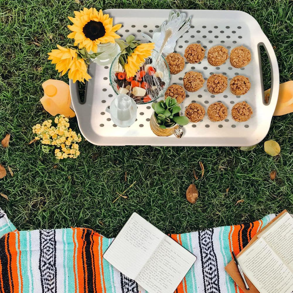 17.9 in. W x 1.8 in. H x 12.5 in. D White Plastic Serving Tray with Handles, Silicone Gripping Nubs Lap Food Trays price history on PriceWatchPro