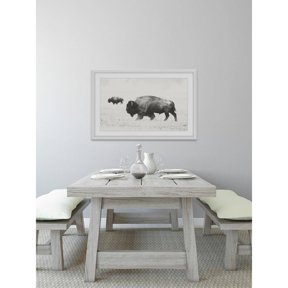 Buffalo Pair Black and White Framed Canvas Print, 16" x 24"