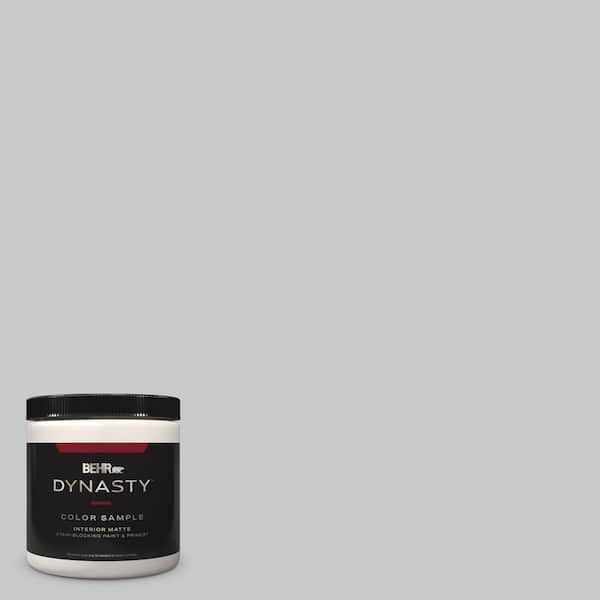 BEHR DYNASTY 8 oz. #PPU26-17 Fast as the Wind Matte Stain-Blocking Interior/Exterior Paint & Primer Sample