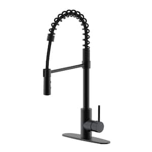 21 in. Single Handle Kitchen Faucet with Dual Function & Open Coil Pull Down Sprayer, Matte Black
