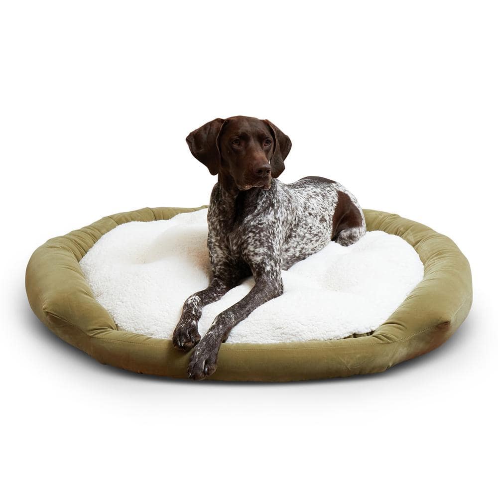 Happy Hounds Murphy Donut Large Moss Dog Bed DB300L-MOSS The