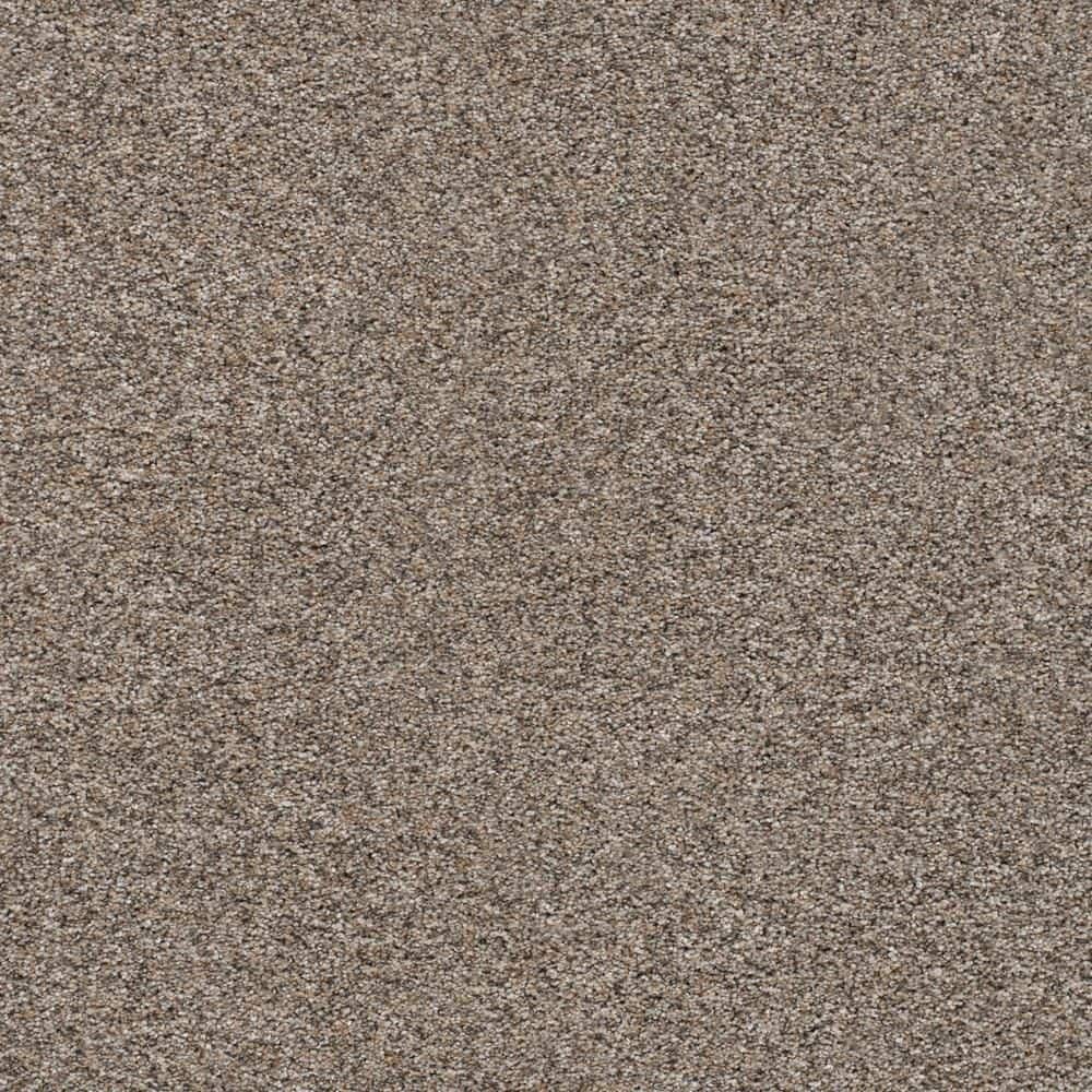 8 in. x 8 in. Texture Carpet Sample-Modern Mosaic III-Color Bachor price history on PriceWatchPro