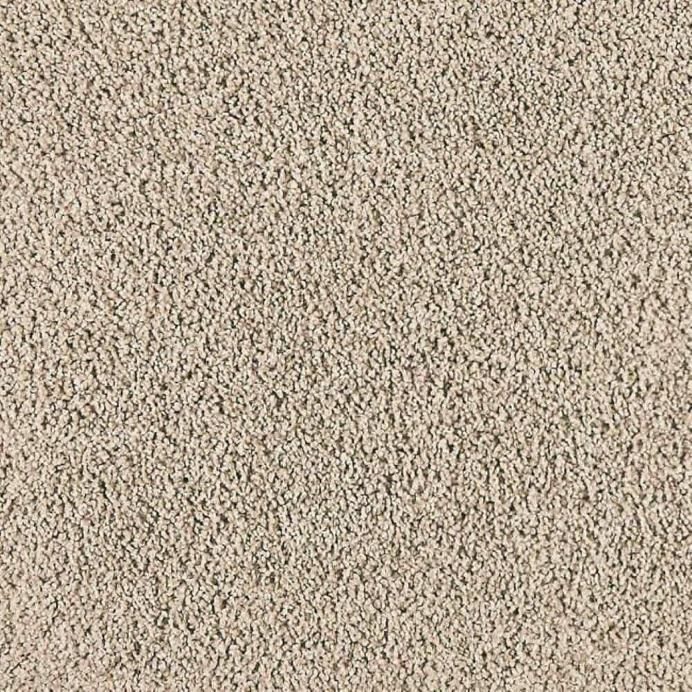 8 in. x 8 in. Texture Carpet Sample-Whisk & Whimsy I-Color Island Taupe price history on PriceWatchPro