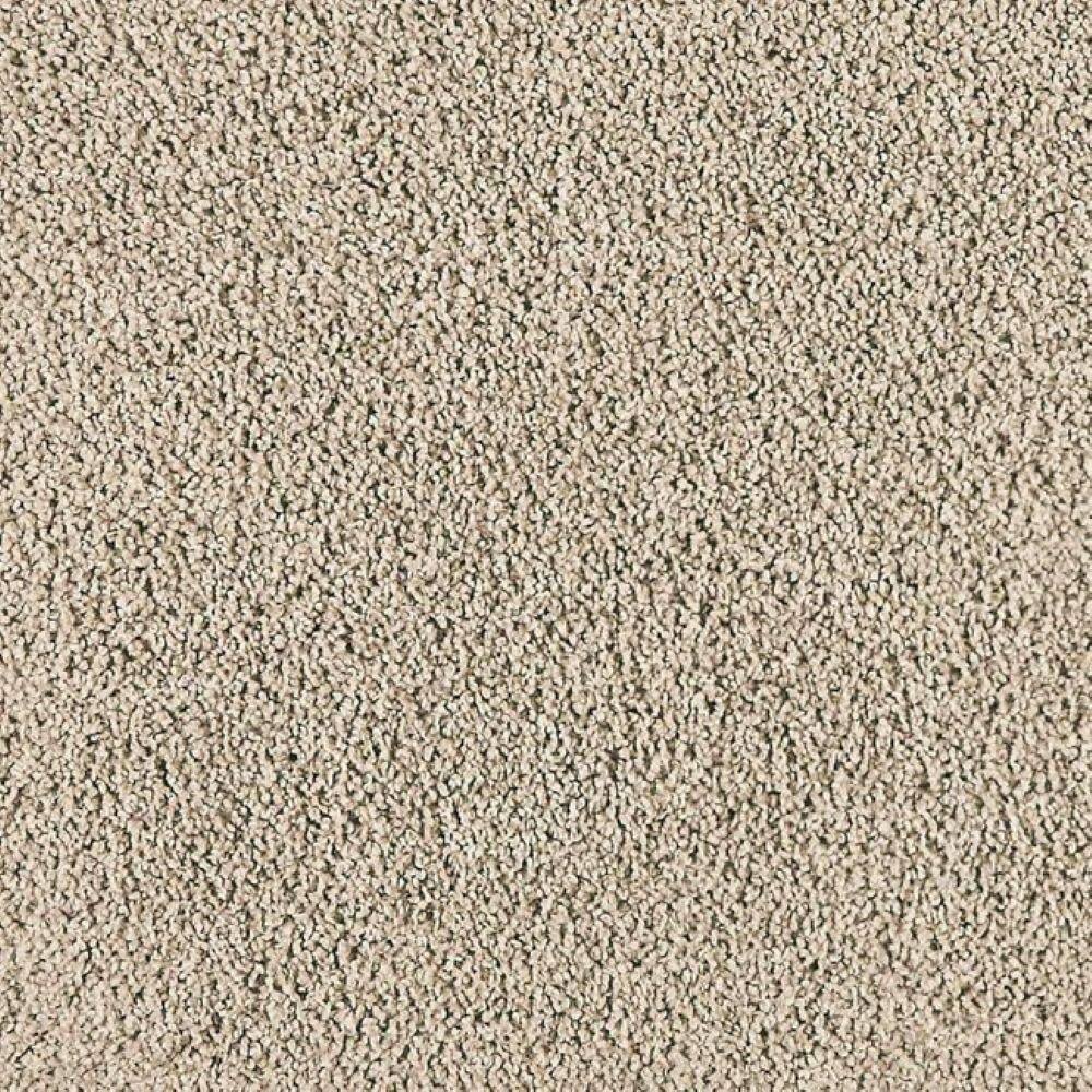 8 in. x 8 in. Texture Carpet Sample-Whisk & Whimsy II-Color Island Taupe price history on PriceWatchPro