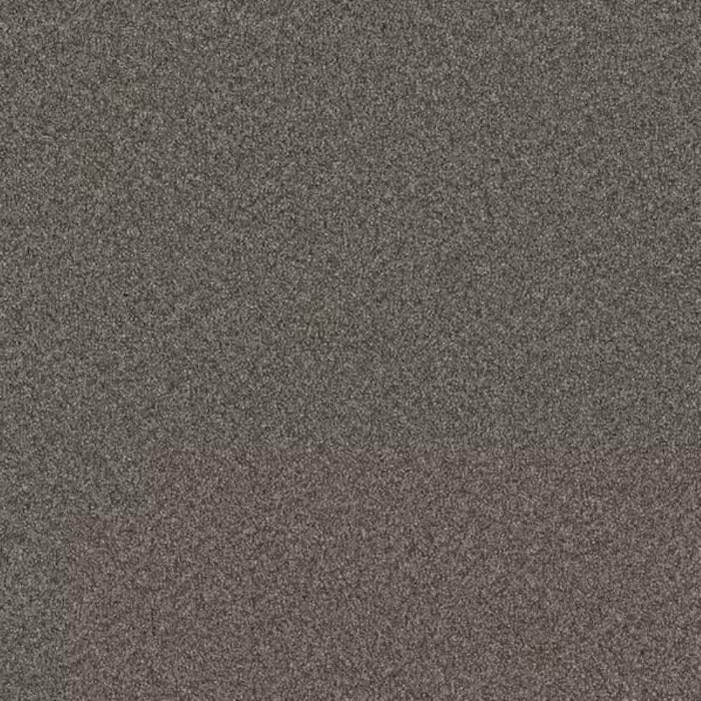 8 in. x 8 in. Texture Carpet Sample-Harpstring I-Color Fate price history on PriceWatchPro