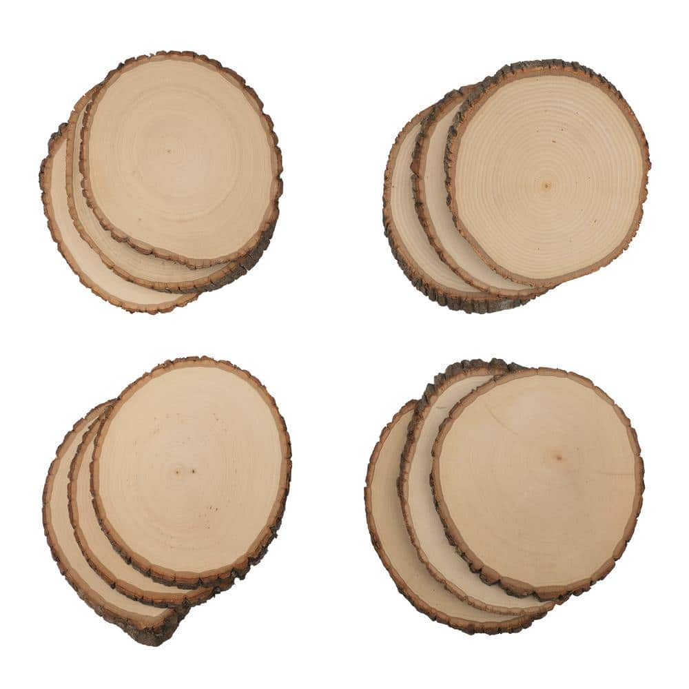 Walnut Hollow 1 in. x 8 in. x 8 in. Rustic Basswood Medium Round Live Edge Project Panel (12-pack)