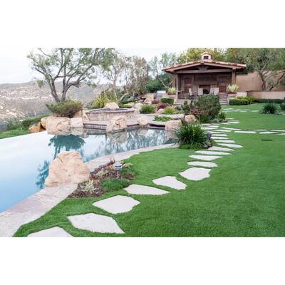 Pet Friendly Artificial Grass Garden Center The Home Depot