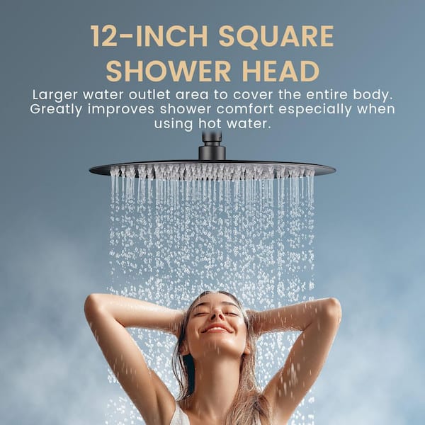 Rainfull 9-Spray 12 in. Wall Mount Round Dual Shower Head and Handheld Shower Head with filter 2.5 GPM in Matte Black