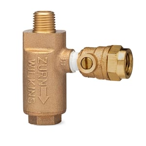 1/4 in. MNPT Metal Freeze Relief Valve with Test Cock